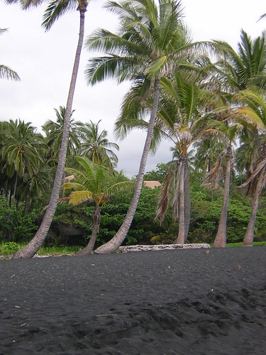 Punalu'u Beach