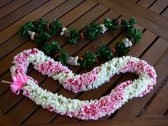 Beautiful Leis from Evelyn