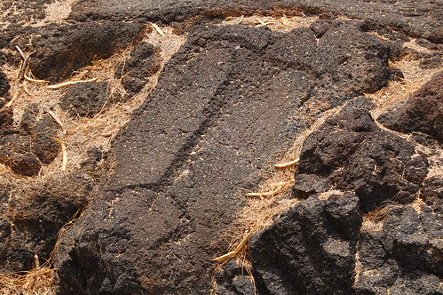 Petroglyph