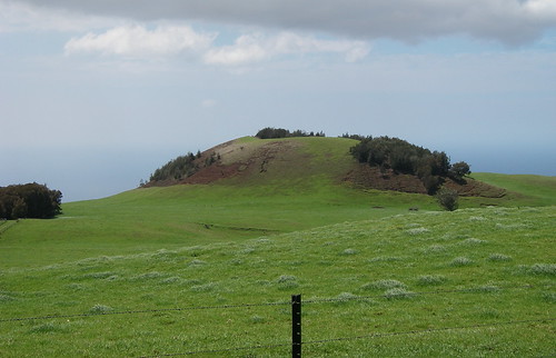 Kohala Mountain