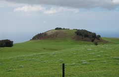 Kohala Mountain