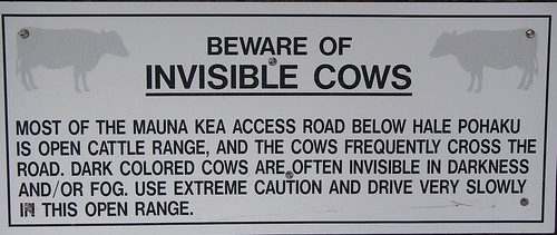 Invisible Cows?