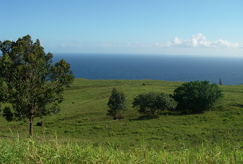 Off Hwy 240 Between Honokaa and Waipio Valley