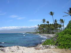 Kohala Coast