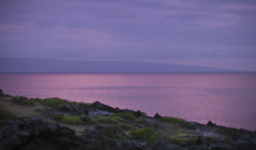 Maui Shore at Dusk