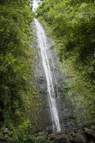 Manoa Falls