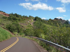 Winding Waimea Canyon Drive