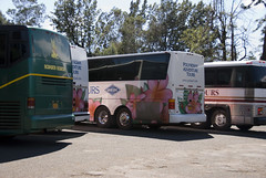 Tour Buses at Waimea Canyon Lookout