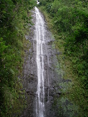 Manoa Falls