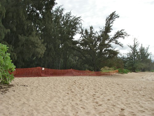 Beach Camp on Oahu Where Lost is Filmed