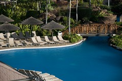 Pool at Sheraton Maui