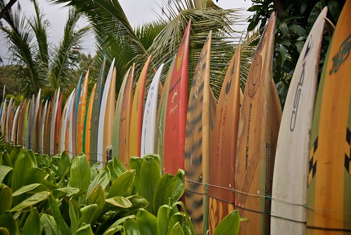 Surfboard Fence