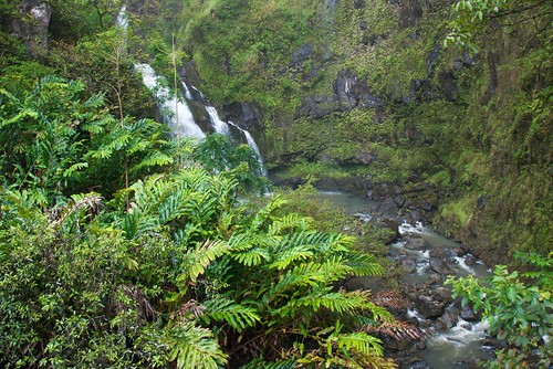 A waterfall off the Road to Hana