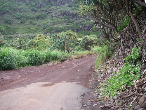 End of Road to Hana