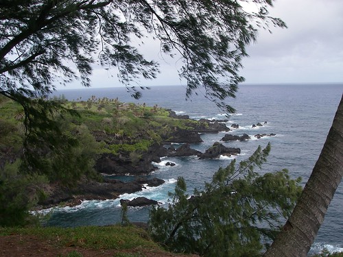 Near Charles Lindbergh's Gravesite on the Road to Hana