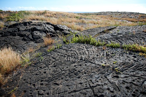 Pu'u Loa Petroglyphs