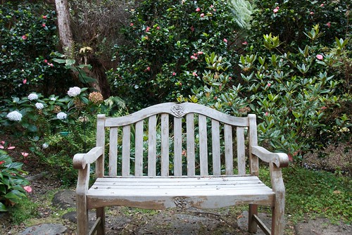 Bench in the garden