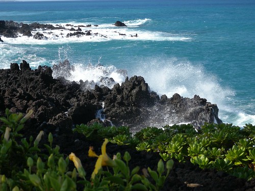 Waikoloa Shore