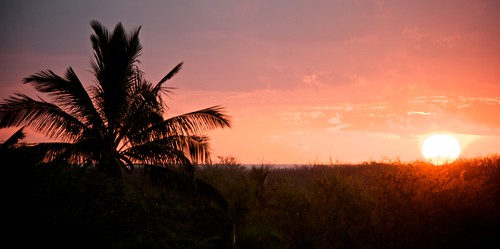 Lanai Sunrise