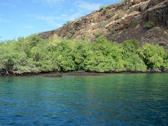 Kealakekua Bay