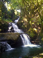 Onomea Falls