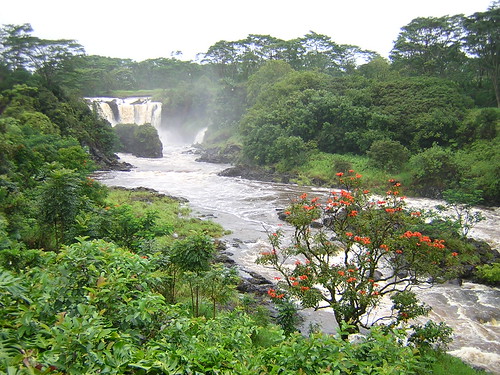 Pe'epe'e Falls in Hilo