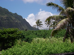 Oahu from the East Side