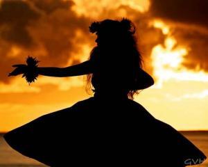 Hawaii Hula Dancer