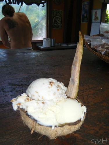 Coconut ice cream in a coconut shell with coconut shell spoon