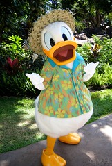 Donald Duck at Disney's Aulani Resort