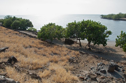 Hale o Kapuni - under water heiau dedicated to sharks