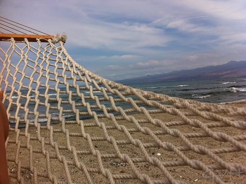 Hammock view