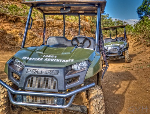 utvs on Munro Trail