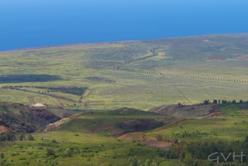 View of Paliwai Basin from Munro Trail