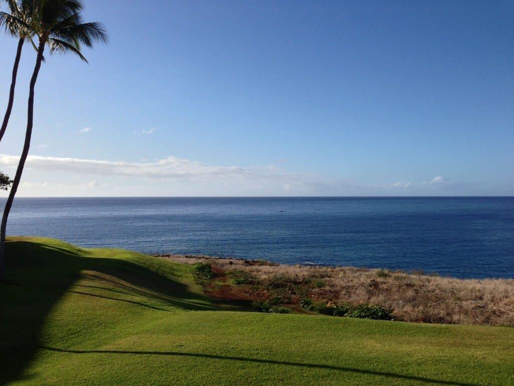 Whale watching from lanai at Four Seasons Lanai