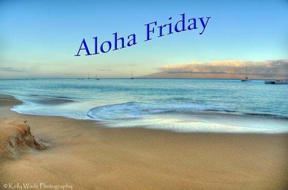 aloha friday kelly wade photography