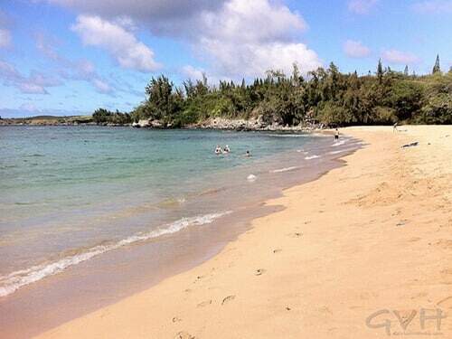 dt fleming beach kapalua