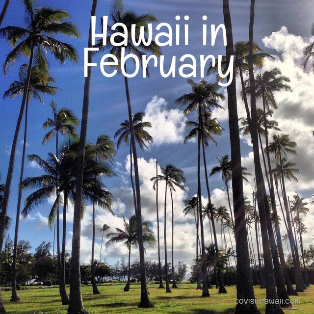 Hawaii in February