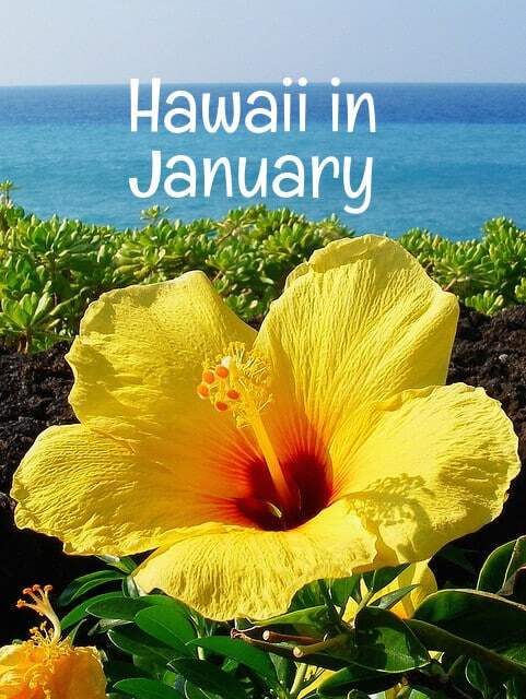 hawaii in january