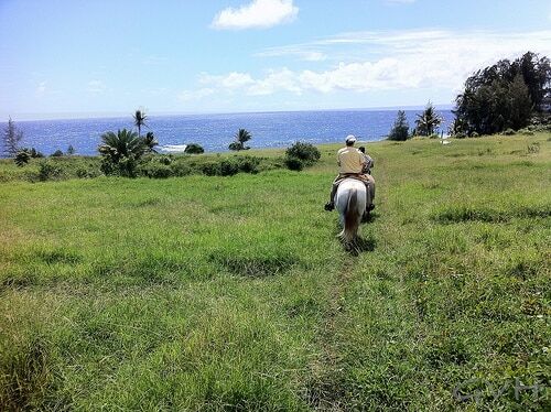 horseback riding tour