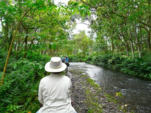 horseback-riding-waipio