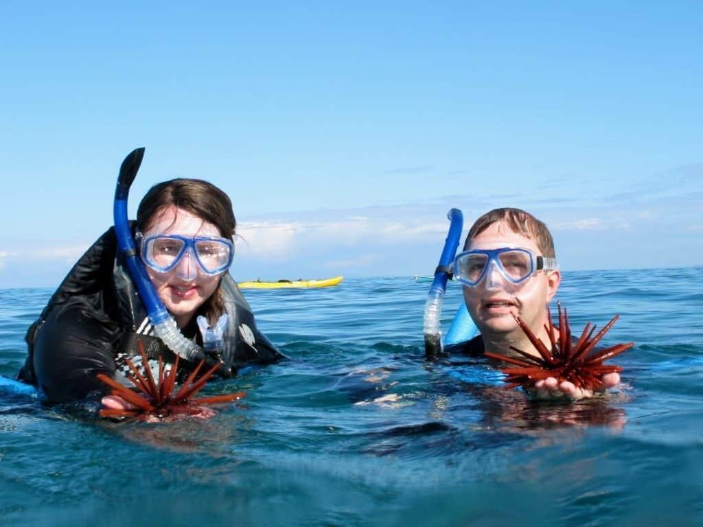 We never pack snorkel gear when we travel to Hawaii because it's so readily available from resorts and tour companies.