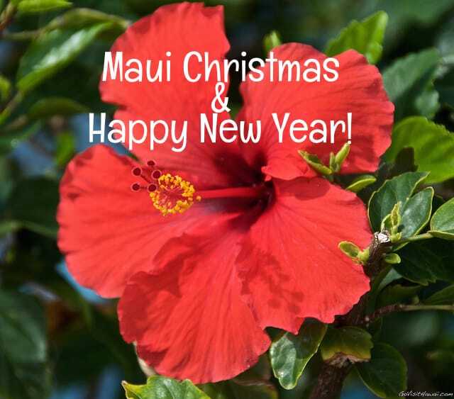 Maui Christmas and Happy New Year