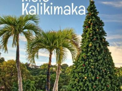 Mele Kalikimaka 2013