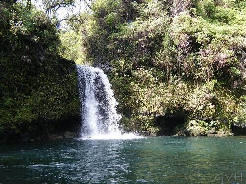 secluded waterfall from the road to Hana