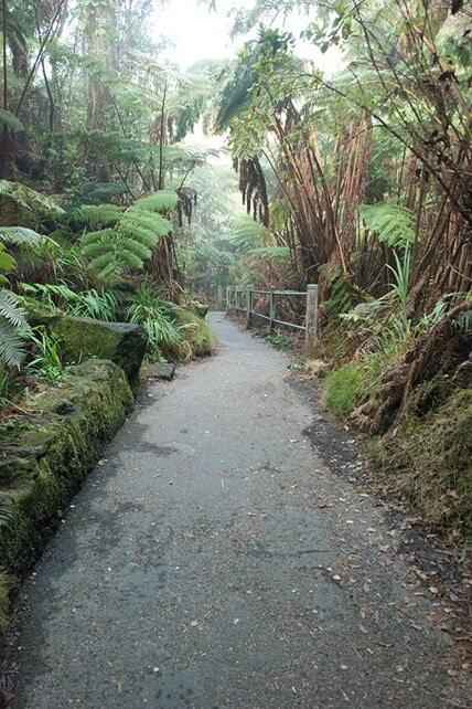 thurston lava tube on Hawaii volcanoes national park