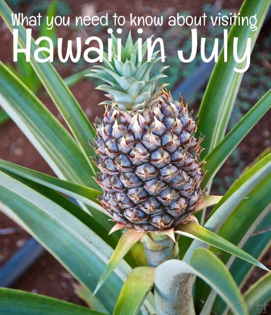 visiting hawaii in july